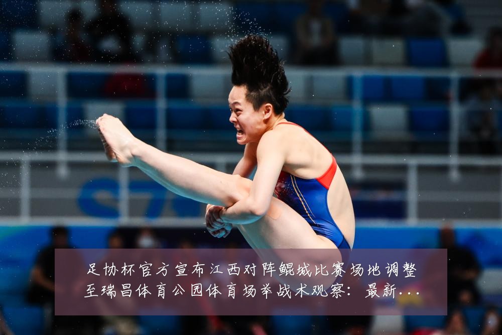 足协杯官方宣布江西对阵鲲城比赛场地调整至瑞昌体育公园体育场举战术观察:最新赛事动态与深度分析